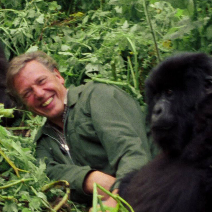 David Attenborough